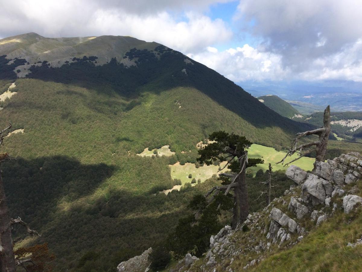 Vila Casa Vacanze Del Pollino Fardella Exteriér fotografie