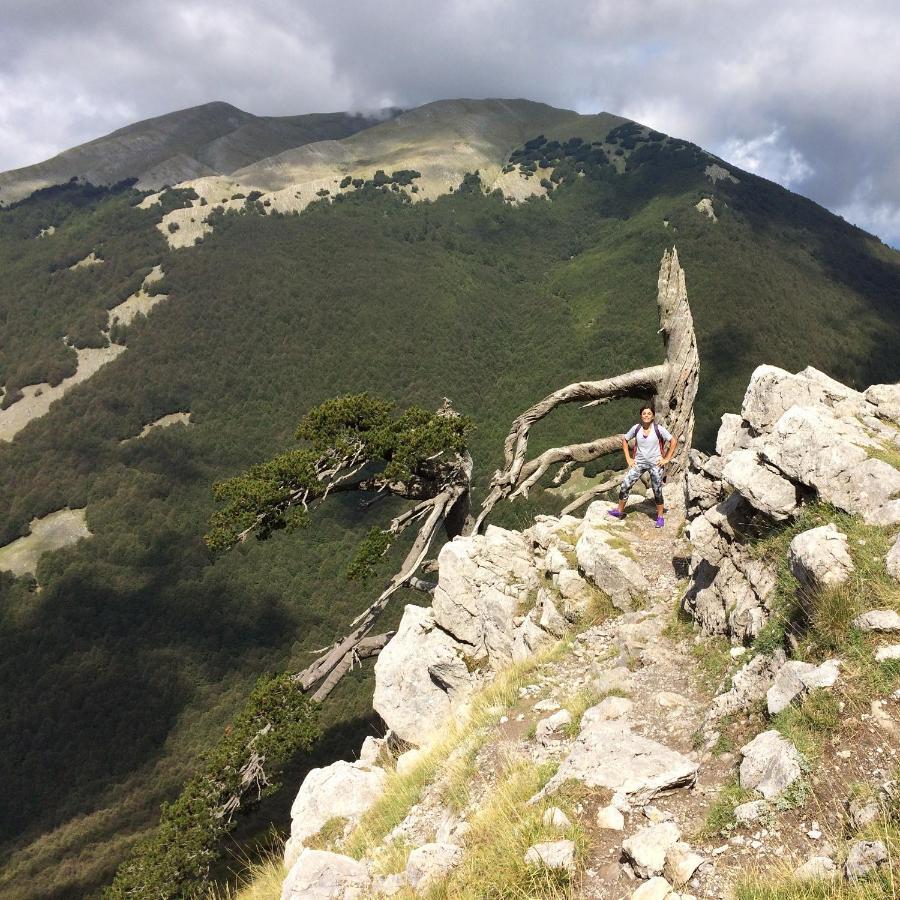 Vila Casa Vacanze Del Pollino Fardella Exteriér fotografie