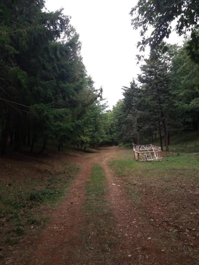 Vila Casa Vacanze Del Pollino Fardella Exteriér fotografie