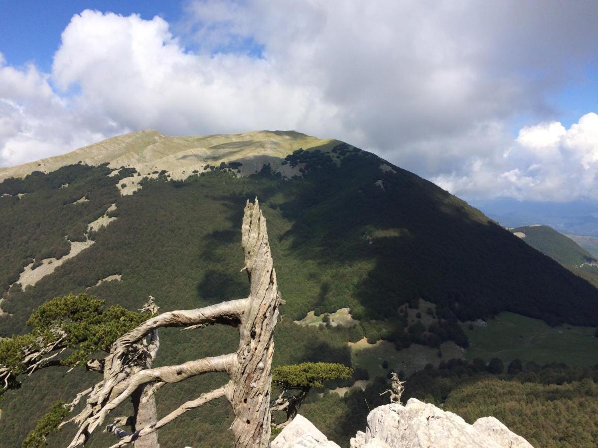 Vila Casa Vacanze Del Pollino Fardella Exteriér fotografie