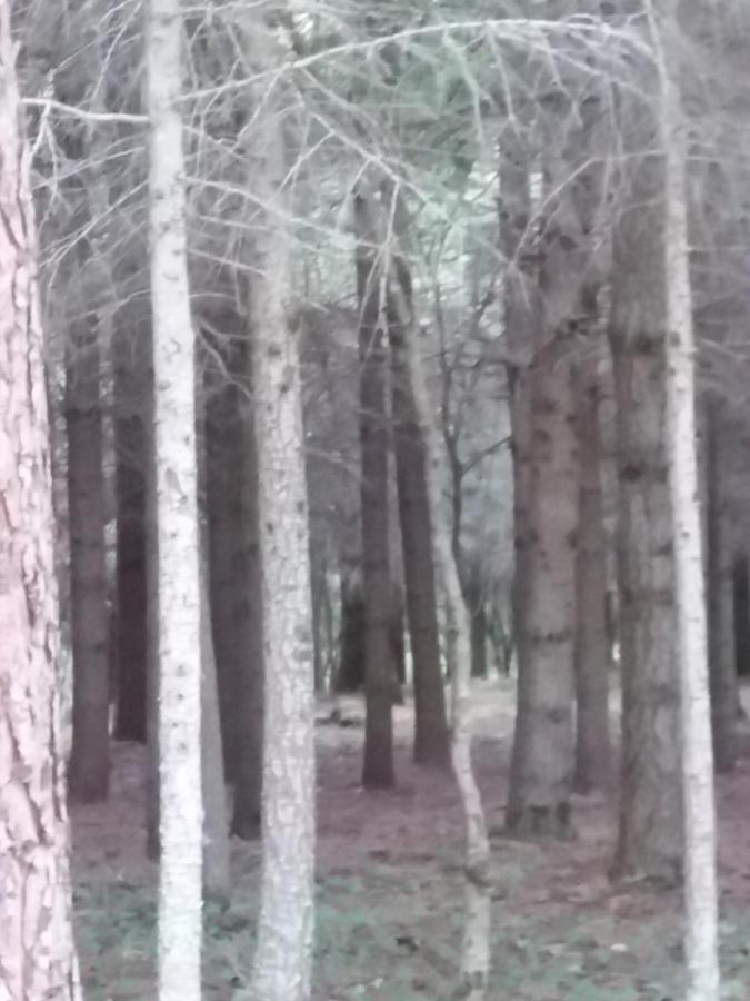 Vila Casa Vacanze Del Pollino Fardella Exteriér fotografie