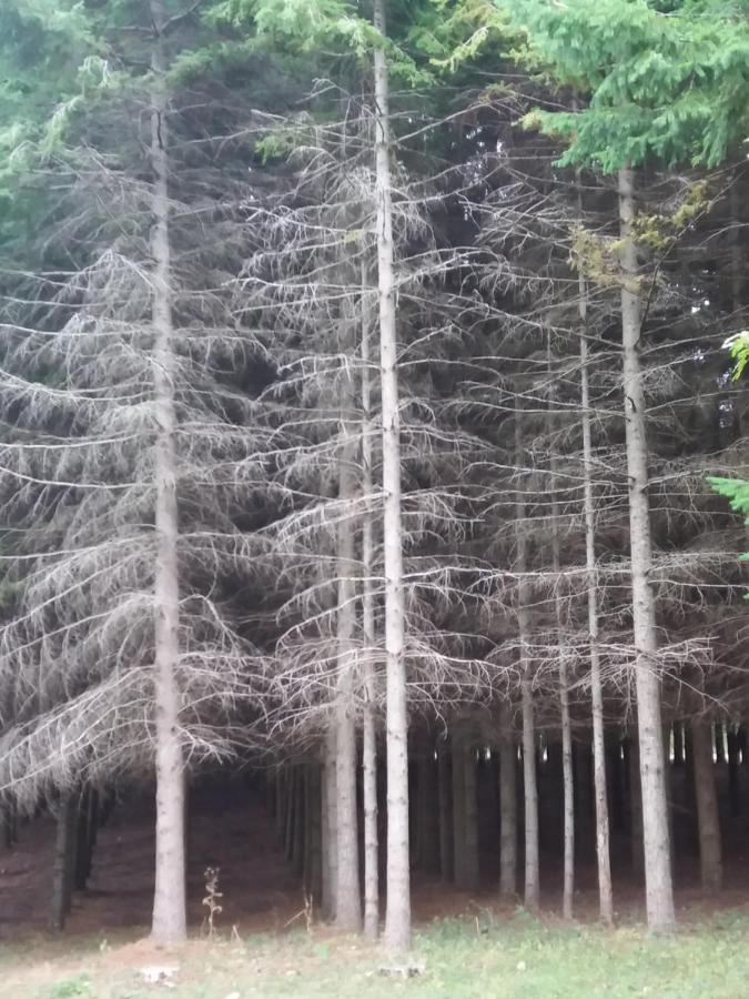 Vila Casa Vacanze Del Pollino Fardella Exteriér fotografie